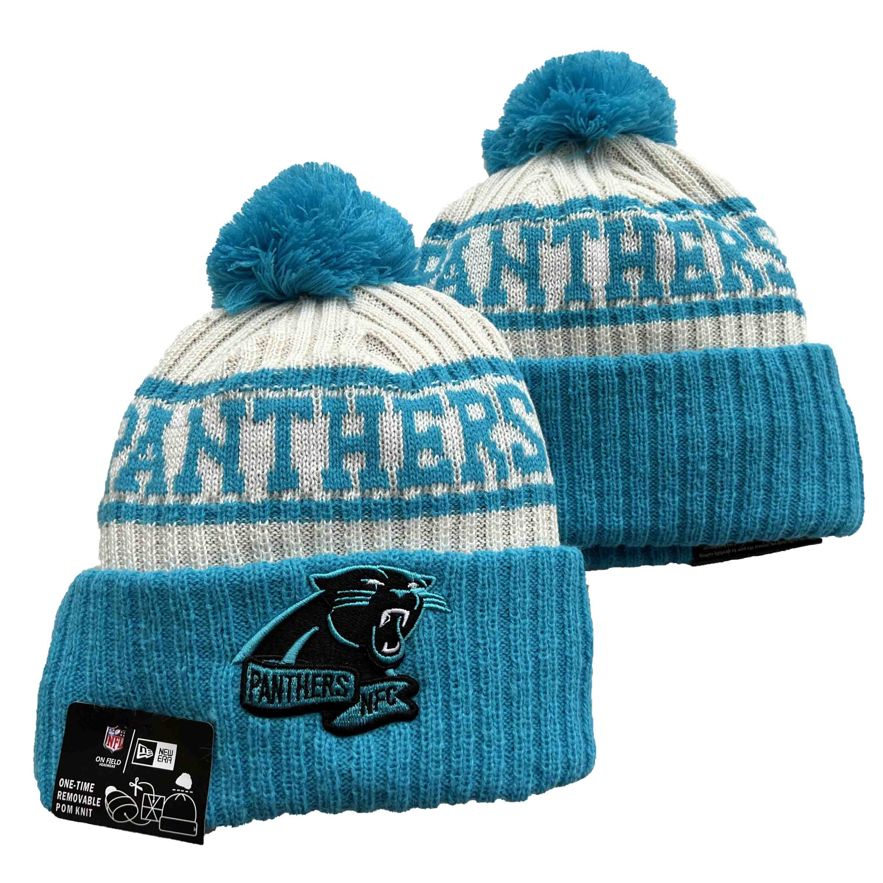 Carolina Panthers 2025 Knit Hats 015